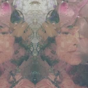 Meet your Posher, Lacy